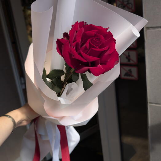 Одна высокая красная французская роза в стильной корейской упаковке 🌹