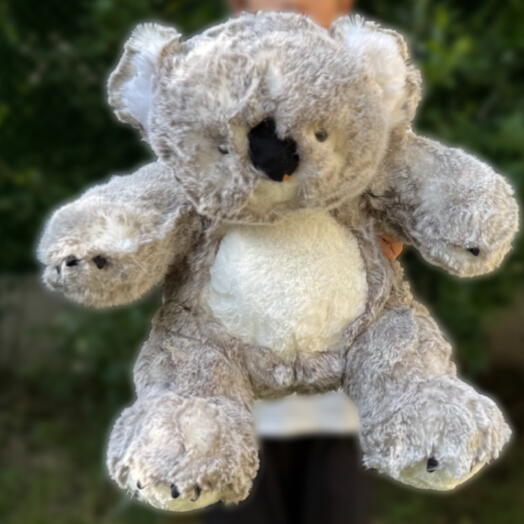 Мягкая игрушка плюшевый коала. Soft toy koala