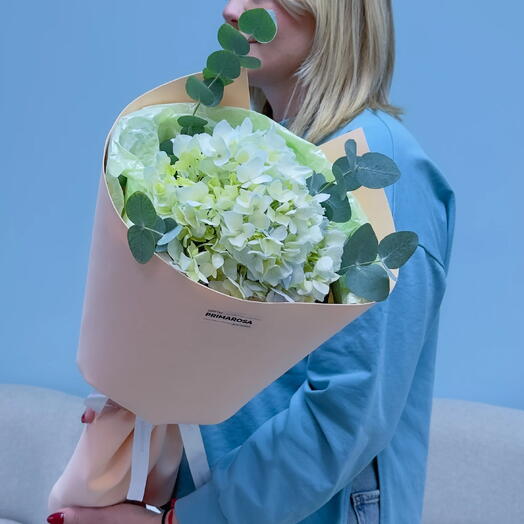 Букет из 1 зелёной гортензии с эвкалиптом «Свежесть»🌿 39978