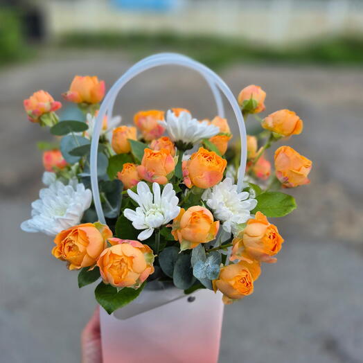 Лучшее настроение