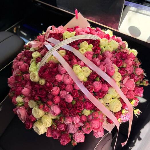 Royal Bloom
