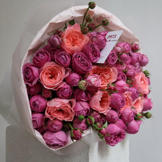 Blush Bloom