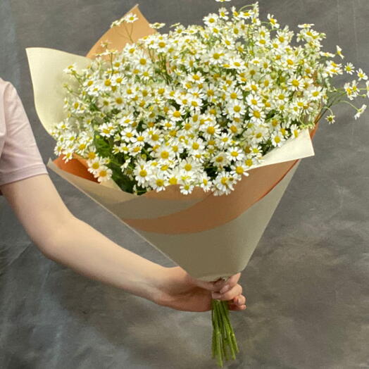 Bouquet of daisies