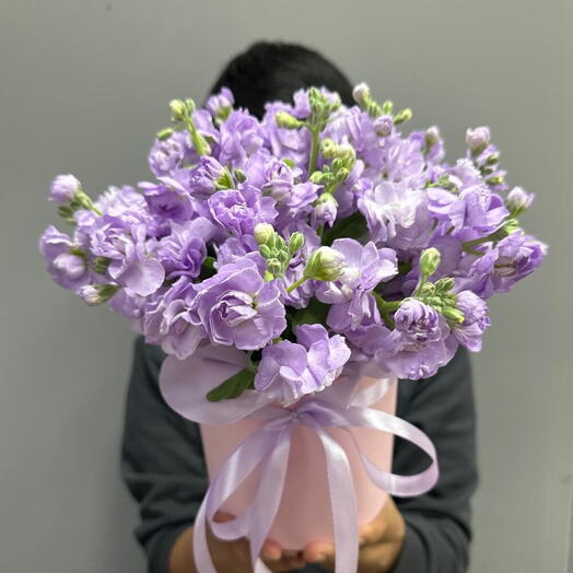 Лавандовая маттиола в розовой шляпной коробке 💞