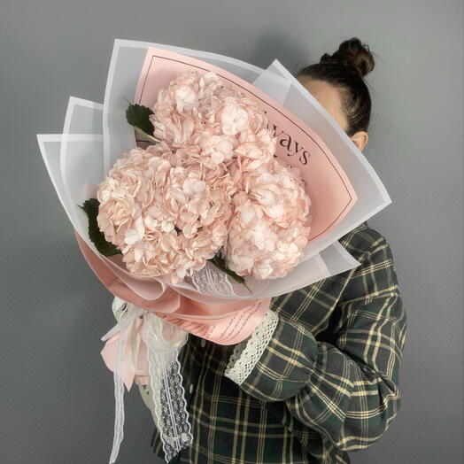 Гортензии нежные 💕
