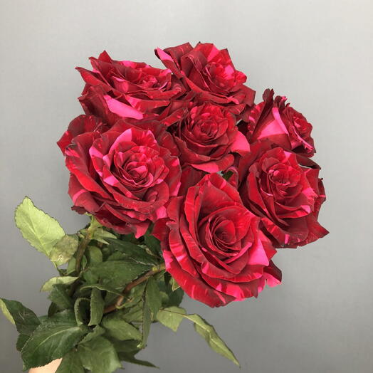 Букет необычных полосатых роз под ленту🌺🌸🌺🌸🌺🌸
