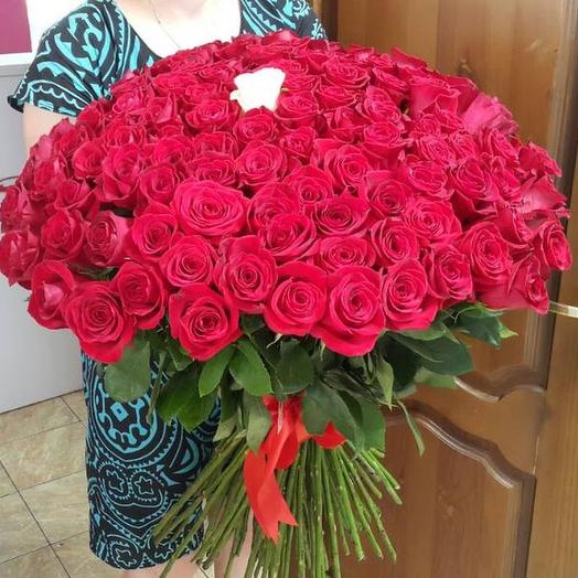 Ramo 101 rosa 80 cm