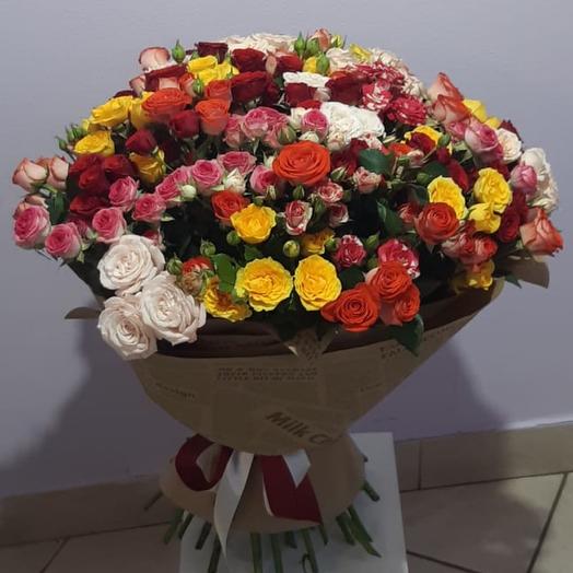 45 rosas arbustivas