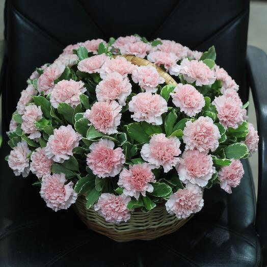 Pink carnations in the basket