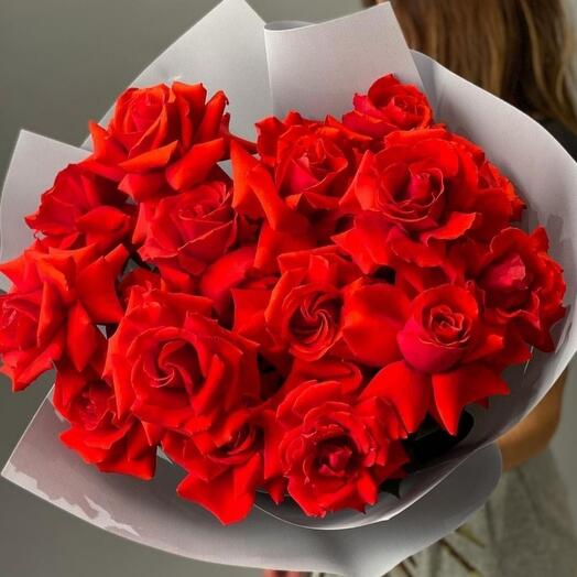 Rosa Nina