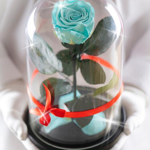 Rosa estabilizada en matraz Therosedome Premium Standart 7 cm, Tiffany
