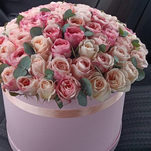 Luxury love