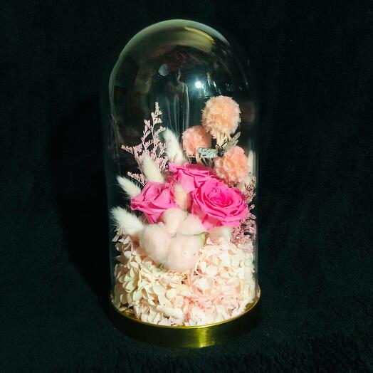 Pink Ombre Mix in Glass Dome