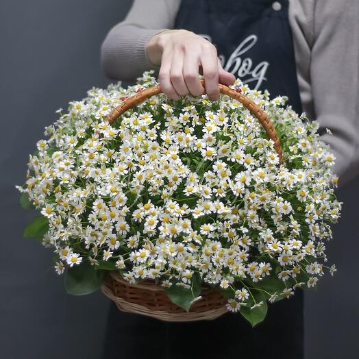 "Полевая корзинка"