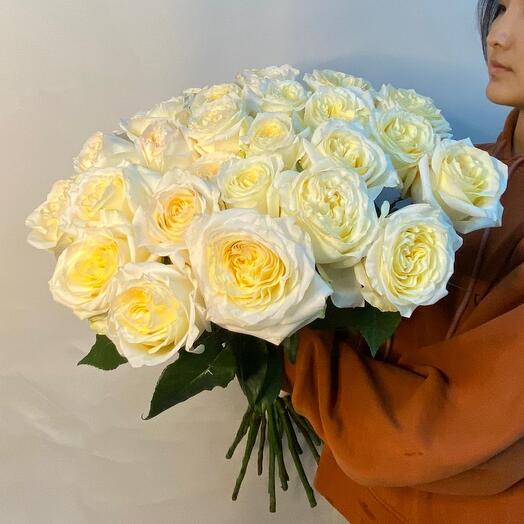 Роза пионовидная 25 шт