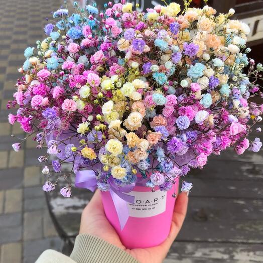 Гипсофила в стаканчике🌸