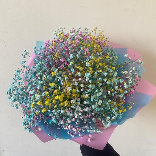 Bouquet of colored gypsophila