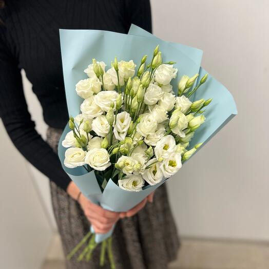 Eustoma blanco