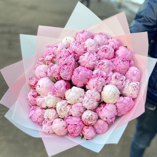 45 peonías Rosadas