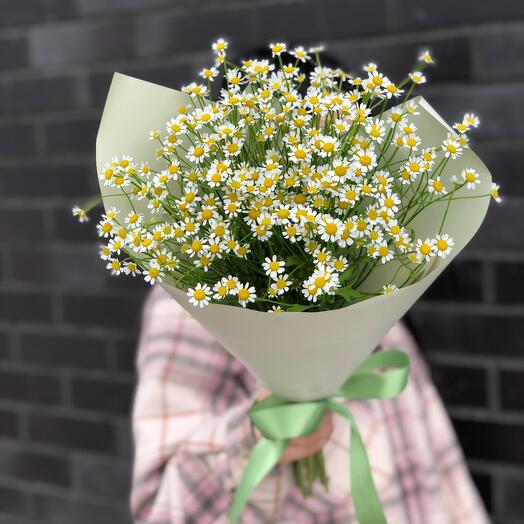 Bouquet of daisies