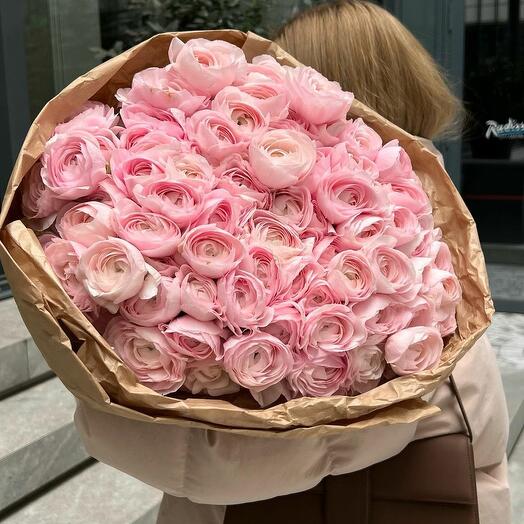 Pink Ranunculus