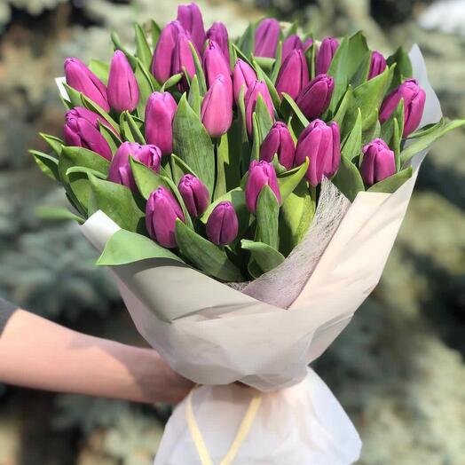 Букет из 51 тюльпана фиолет