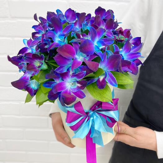 Дендробиум синяя космическая орхидея в коробке Flowerstorg N1086