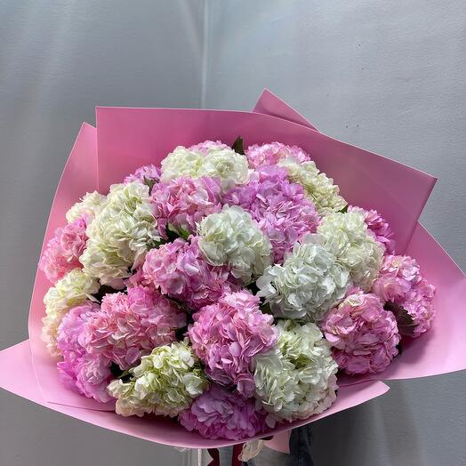 Bouquet of hydrangeas
