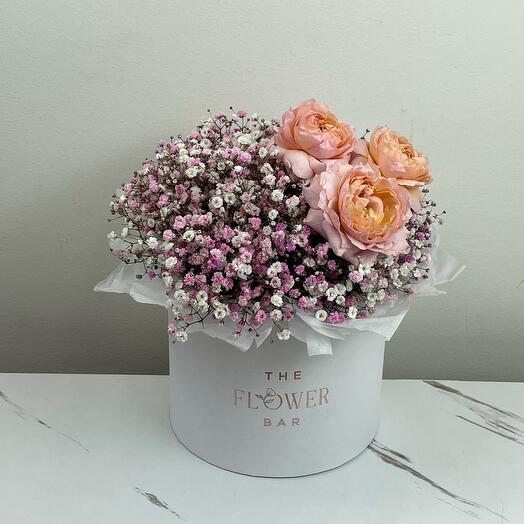 Pink Gypsophila And Rose