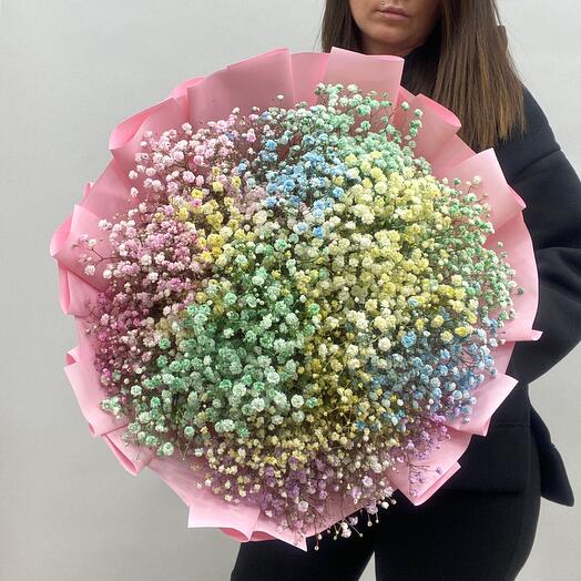 Ramo de Gypsophila de color