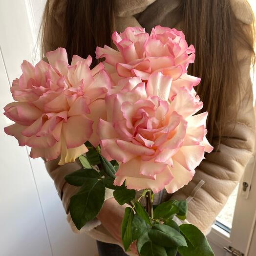 Bouquet of 3 French roses
