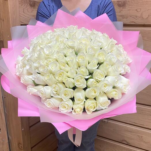 101 rosa blanca