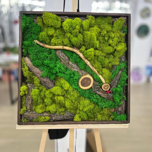 Эко-панно из стабилизированного мха «Forest Dream» 50х50