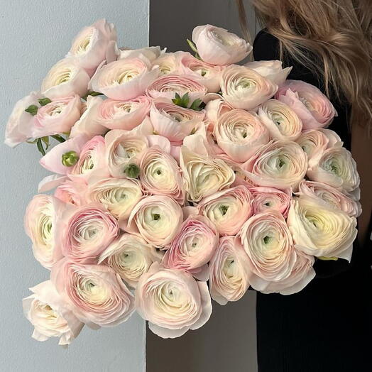 Ranunculus Clooney 49 stems