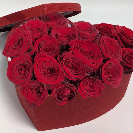 Maroon Roses in a red box, 20 pcs