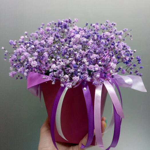 Gypsophila in a box 2
