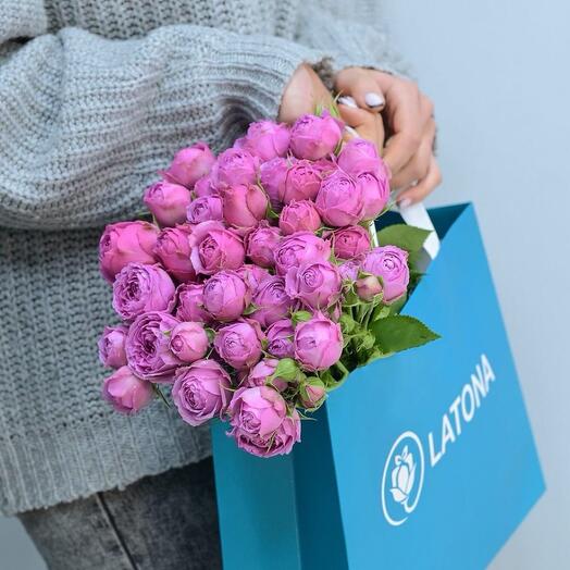 Мисти Баблс