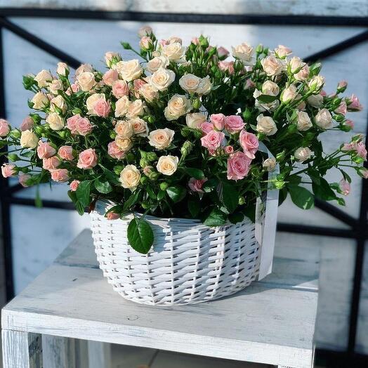 Spray Rose Basket