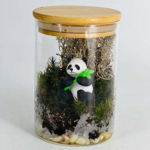 Live moss in a panda flask in a closed florarium