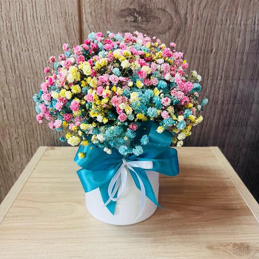 Iridescent Gypsophila in a box