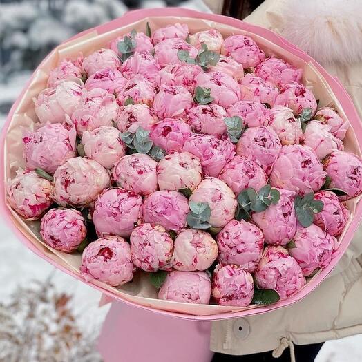 Pink peonies 51