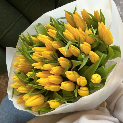 Bouquet of 51 yellow tulips