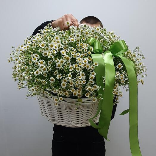 Корзина из полевой ромашки
