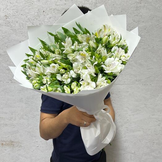 Alstroemeria white 25