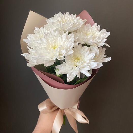 A compliment of 1 chrysanthemum