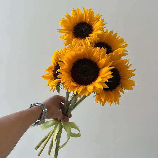 Подсолнухи 🌻5 шт