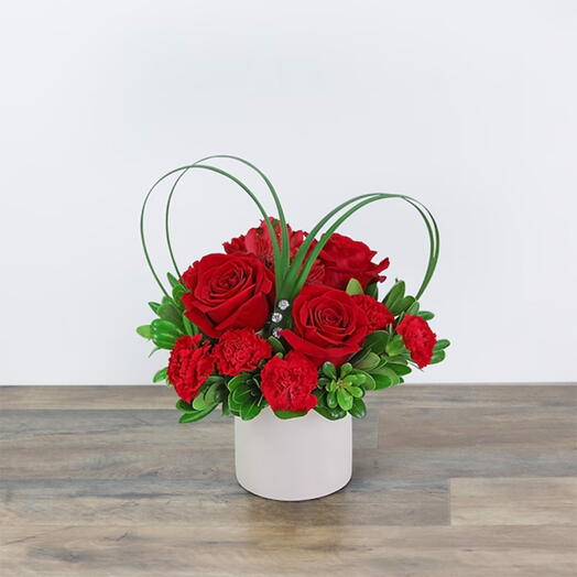 Red Rses and Carnations in Vase