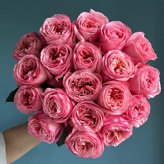 Rosas peonías 🩷