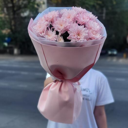 Нежная хризантема