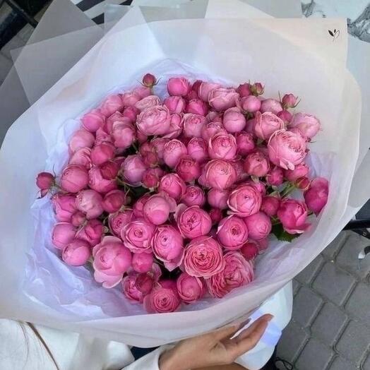 Силва пинк